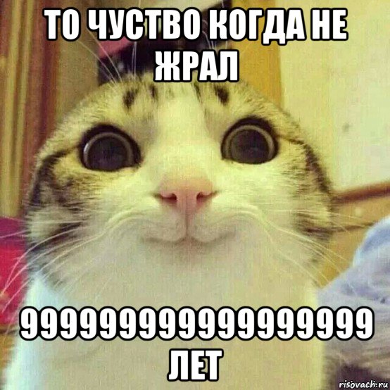 то чуство когда не жрал 999999999999999999 лет, Мем       Котяка-улыбака