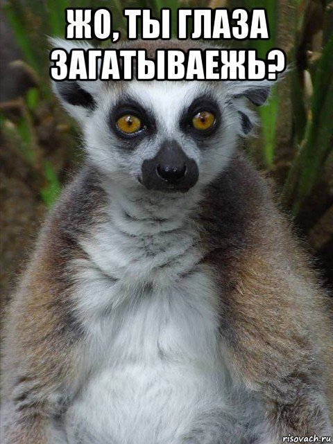 жо, ты глаза загатываежь? 