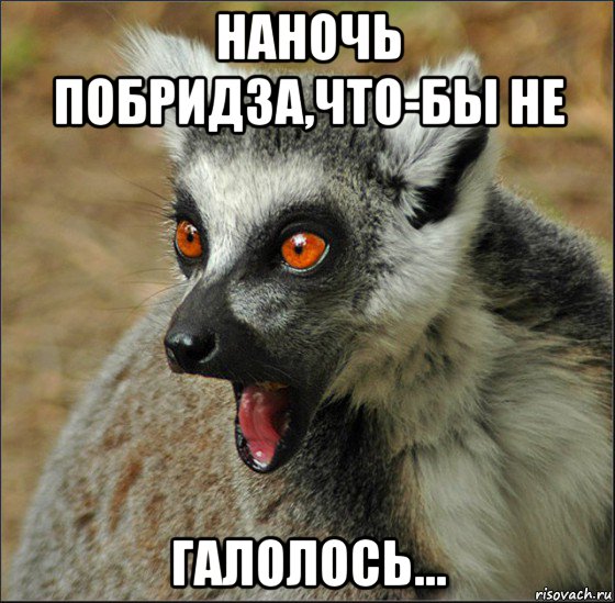 наночь побридза,что-бы не галолось..., Мем лемур