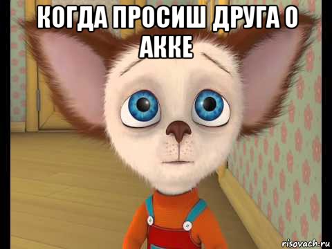 когда просиш друга о акке 