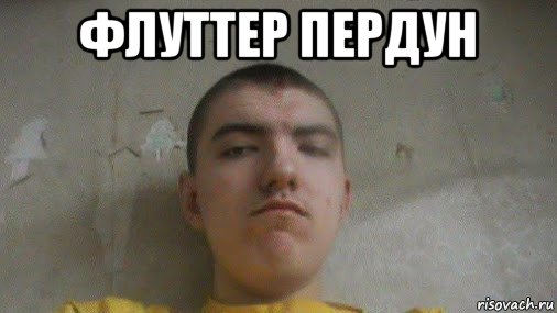 флуттер пердун 