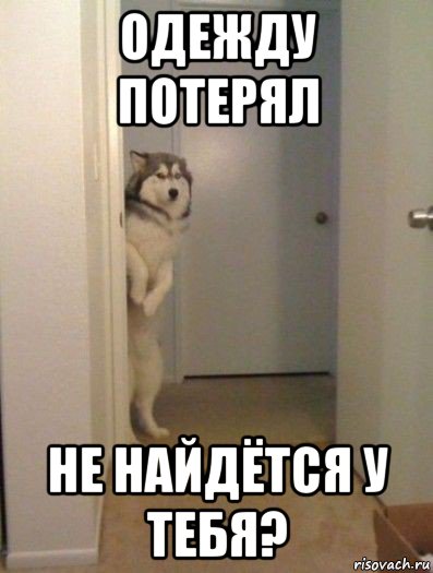 одежду потерял не найдётся у тебя?, Мем мне приснился страшный сон можно