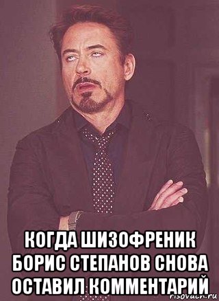  когда шизофреник борис степанов снова оставил комментарий