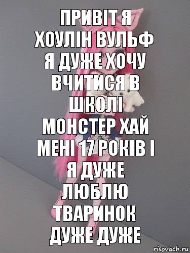 привіт я хоулін вульф я дуже хочу вчитися в школі монстер хай мені 17 років і я дуже люблю тваринок дуже дуже