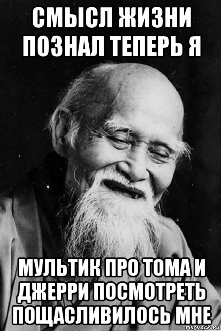 смысл жизни познал теперь я мультик про тома и джерри посмотреть пощасливилось мне, Мем мудрец улыбается