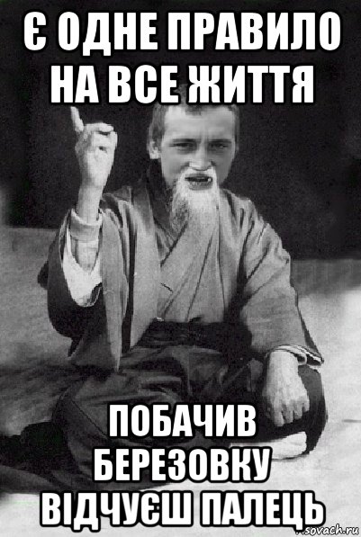 є одне правило на все життя побачив березовку відчуєш палець, Мем Мудрий паца