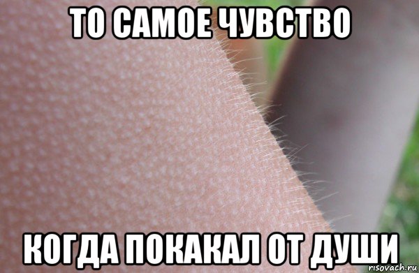 то самое чувство когда покакал от души