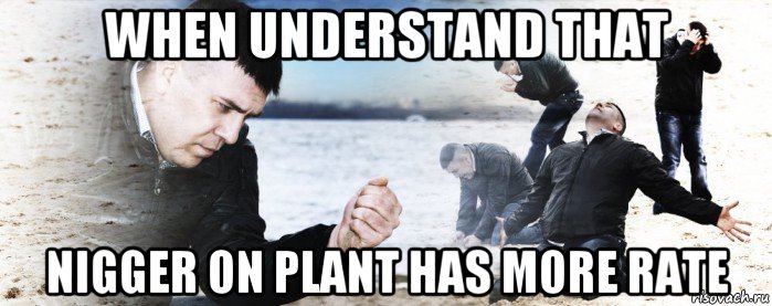 when understand that nigger on plant has more rate, Мем Мужик сыпет песок на пляже