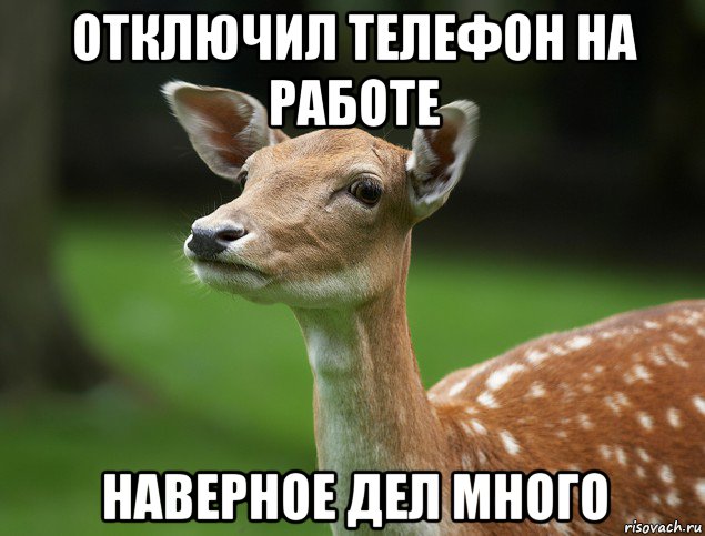 отключил телефон на работе наверное дел много