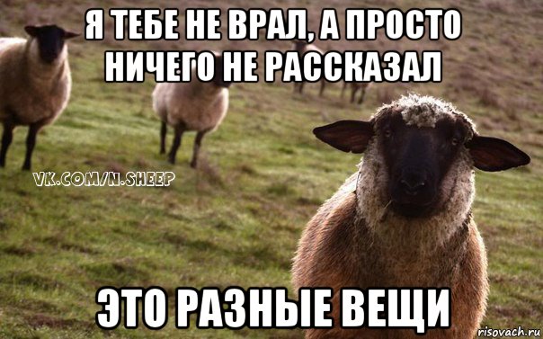 я тебе не врал, а просто ничего не рассказал это разные вещи, Мем  Наивная Овца