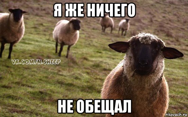 я же ничего не обещал, Мем  Наивная Овца