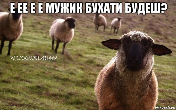 е ее е е мужик бухати будеш? , Мем  Наивная Овца