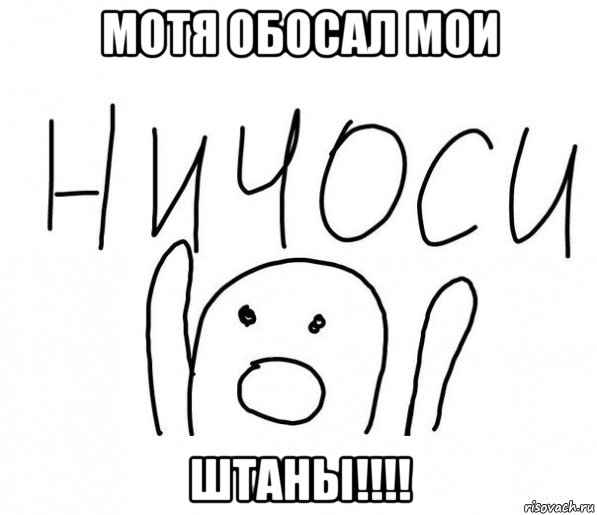 мотя обосал мои штаны!!!!, Мем  Ничоси