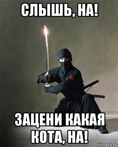 слышь, на! зацени какая кота, на!, Мем ниндзя