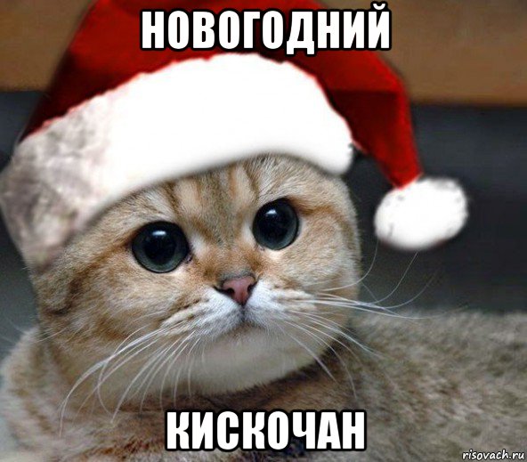 новогодний кискочан