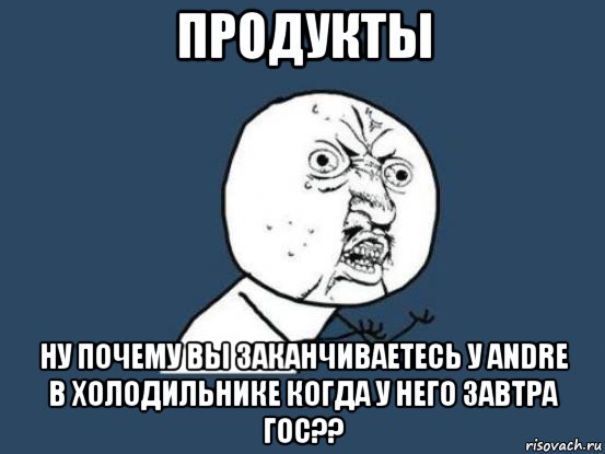 продукты ну почему вы заканчиваетесь у andre в холодильнике когда у него завтра гос??, Мем Ну почему