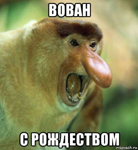 вован с рождеством, Мем Обезьян-носач