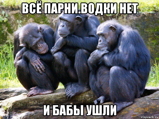 всё парни.водки нет и бабы ушли