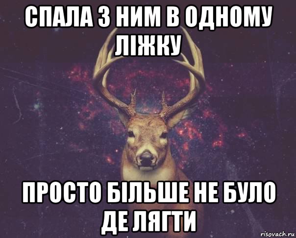 спала з ним в одному ліжку просто більше не було де лягти, Мем  олень наивный