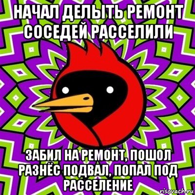 начал делыть ремонт соседей расселили забил на ремонт, пошол разнёс подвал, попал под расселение, Мем Омская птица