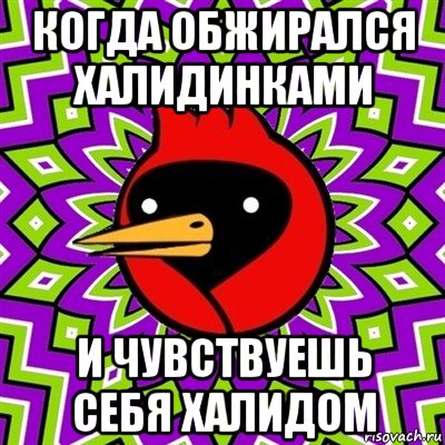 когда обжирался халидинками и чувствуешь себя халидом, Мем Омская птица