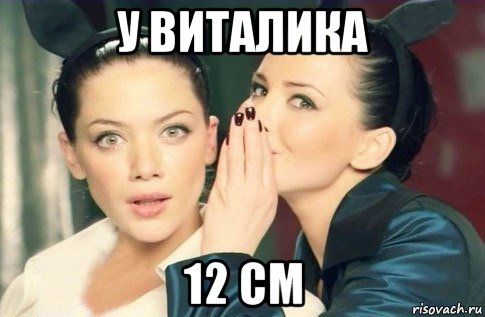 у виталика 12 см, Мем  Он