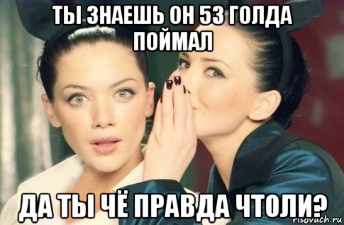 ты знаешь он 53 голда поймал да ты чё правда чтоли?, Мем  Он