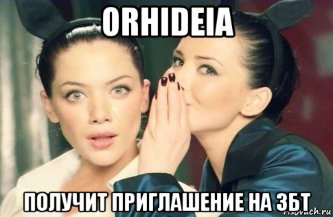 orhideia получит приглашение на збт, Мем  Он