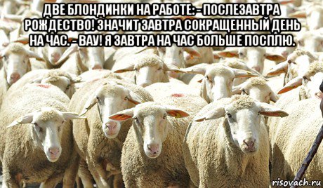 две блондинки на работе: - послезавтра рождество! значит завтра сокращенный день на час. - вау! я завтра на час больше посплю. 