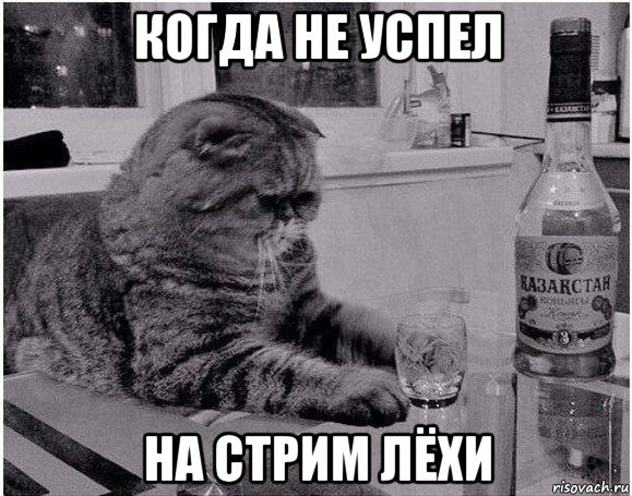 когда не успел на стрим лёхи