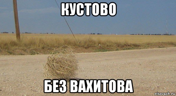 кустово без вахитова, Мем перекати-поле одиночество