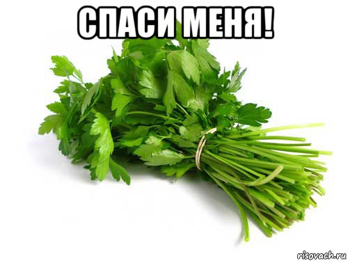 спаси меня! 