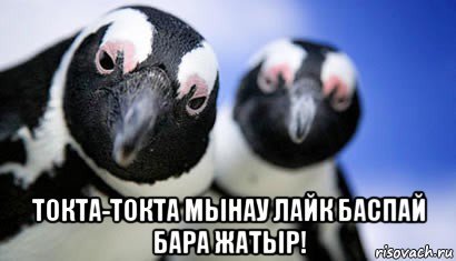 токта-токта мынау лайк баспай бара жатыр!