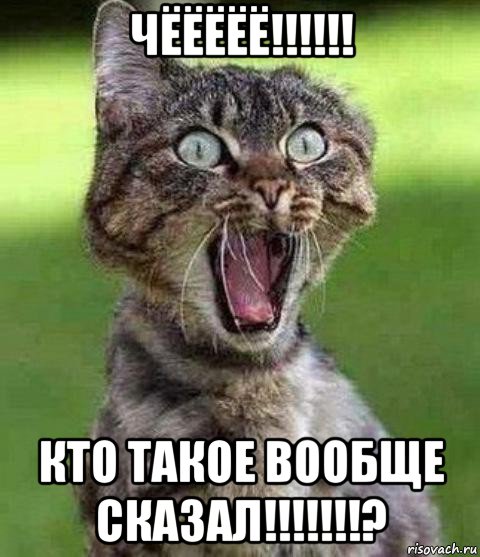 чёёёёё!!!!!! кто такое вообще сказал!!!!!!!?