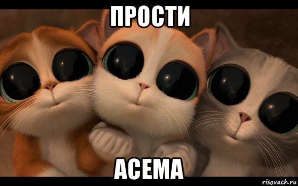 прости асема