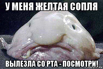 у меня желтая сопля вылезла со рта - посмотри!, Мем Рыба-капля