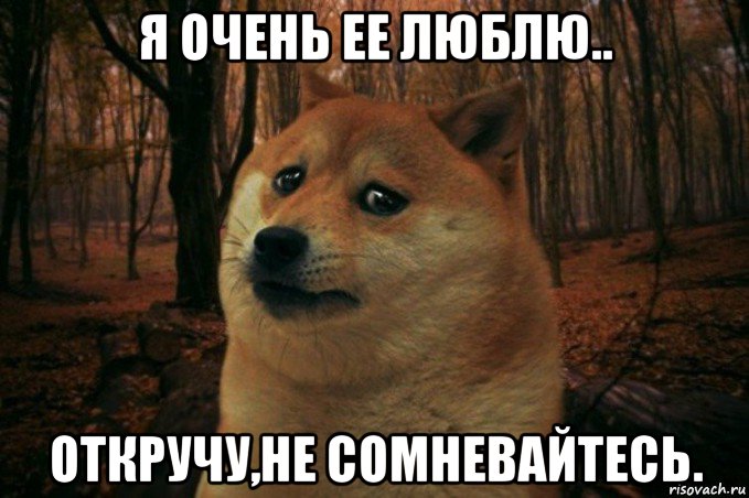 я очень ее люблю.. откручу,не сомневайтесь., Мем SAD DOGE