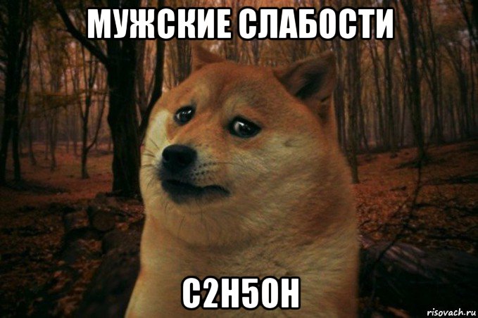 мужские слабости c2h5oh, Мем SAD DOGE