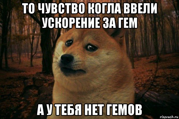 то чувство когла ввели ускорение за гем а у тебя нет гемов, Мем SAD DOGE