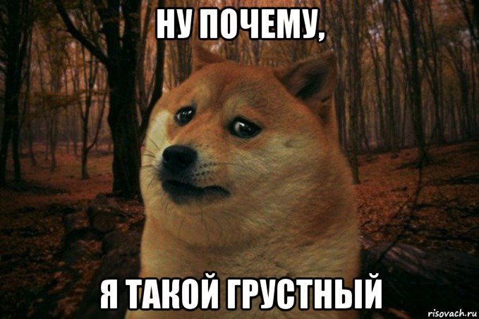 ну почему, я такой грустный, Мем SAD DOGE