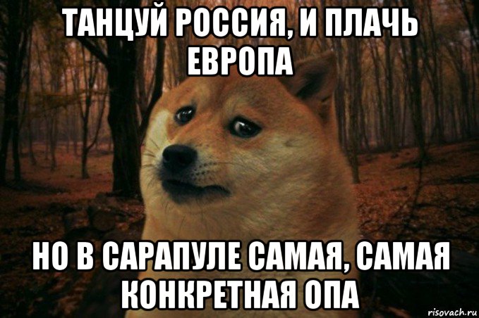 танцуй россия, и плачь европа но в сарапуле самая, самая конкретная опа, Мем SAD DOGE