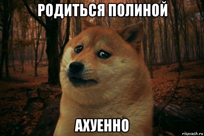 родиться полиной ахуенно, Мем SAD DOGE