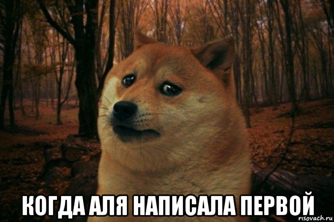  когда аля написала первой, Мем SAD DOGE