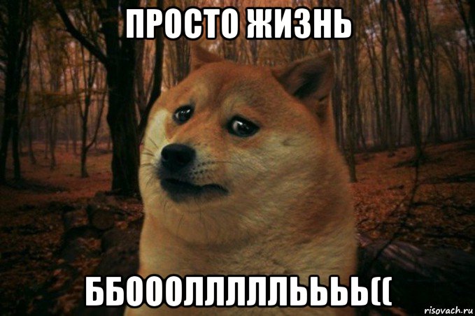 просто жизнь ббоооллллльььь((, Мем SAD DOGE