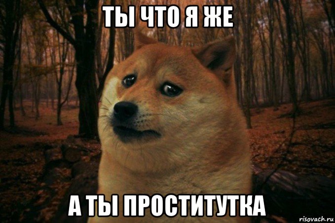 ты что я же а ты проститутка, Мем SAD DOGE