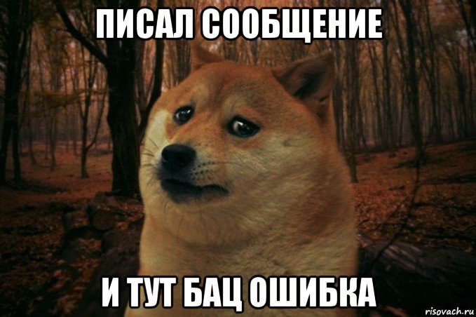 писал сообщение и тут бац ошибка, Мем SAD DOGE