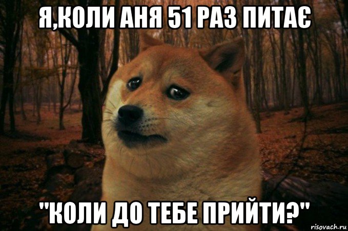 я,коли аня 51 раз питає "коли до тебе прийти?", Мем SAD DOGE