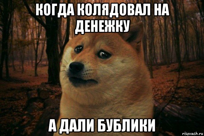 когда колядовал на денежку а дали бублики, Мем SAD DOGE