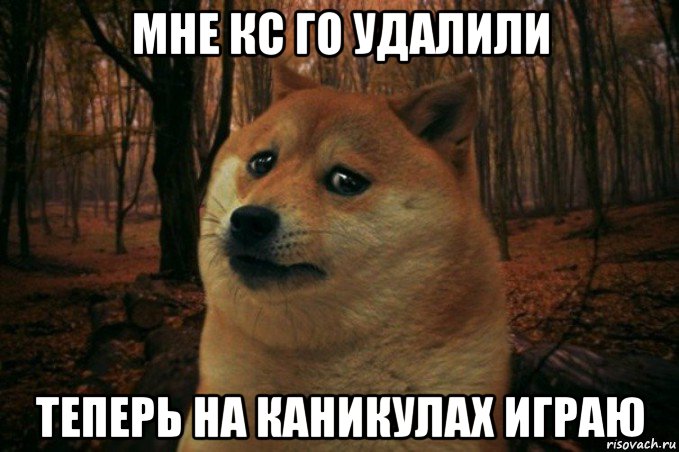 мне кс го удалили теперь на каникулах играю, Мем SAD DOGE