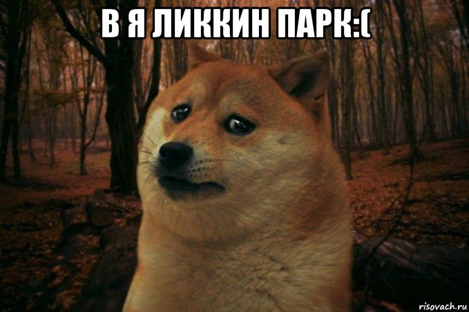 в я ликкин парк:( , Мем SAD DOGE